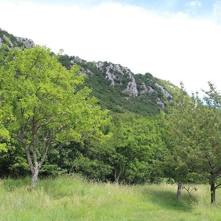 Villa Nona Tamara With Astonishing Sea & Mountains View Bribir  Buitenkant foto